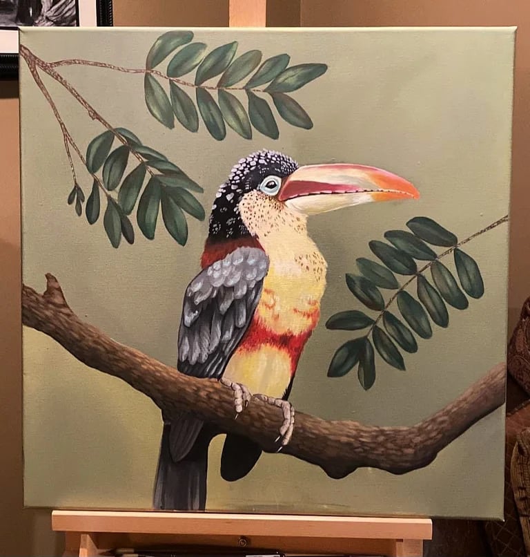 Image of Curl-Crested Aracari