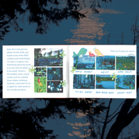Image 3 of finfin zine