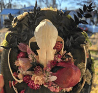 Image 1 of Fox Bone Mount- Pink
