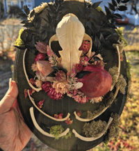 Image 3 of Fox Bone Mount- Pink