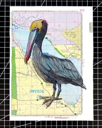 Image 2 of Salton Sea Pelican