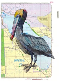 Image 1 of Salton Sea Pelican