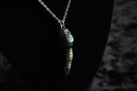 Image 2 of Dead Good Pheasant toe and Silver Moonstone amulet