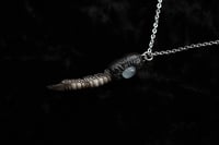 Image 1 of Dead Good Pheasant toe and Silver Moonstone amulet