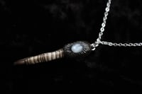 Image 3 of Dead Good Pheasant toe and Silver Moonstone amulet