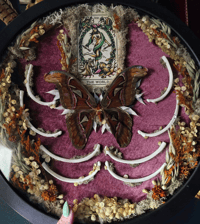 Image 2 of The World- Atlas Moth Frame