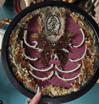 Image 3 of The World- Atlas Moth Frame