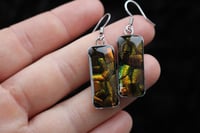 Image 2 of Dead Good Beetle shard rectangle earrings 