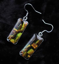 Image 4 of Dead Good Beetle shard rectangle earrings 