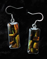 Image 1 of Dead Good Beetle shard rectangle earrings 