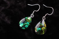 Image 1 of Dead good beetle shard earrings 