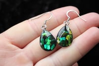 Image 3 of Dead good beetle shard earrings 