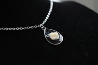 Image 2 of Dead Good Tooth necklace 