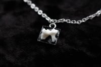 Image 1 of Dead Good Cat tooth necklace 
