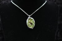 Image 2 of Dead Good wasp necklace
