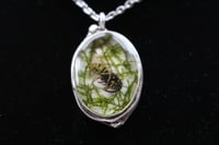 Image 3 of Dead Good wasp necklace