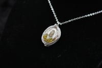 Image 4 of Dead Good Woodlouse and lichen pendant