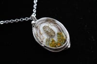 Image 1 of Dead Good Woodlouse and lichen pendant