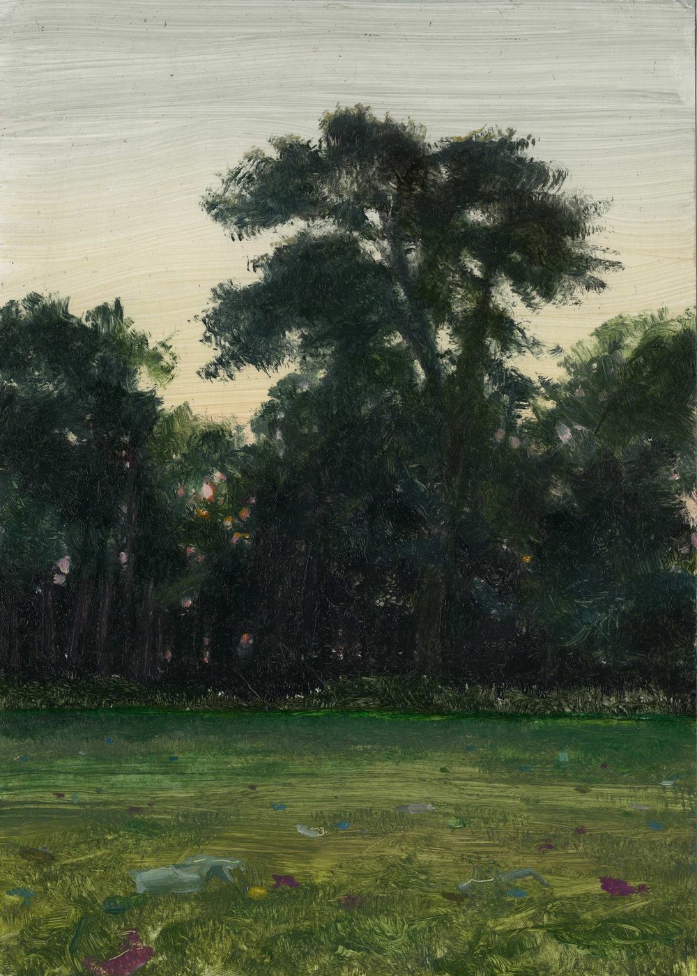 Image of Park sunset over birthday party aftermath