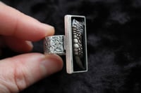 Image 4 of Dead Good Pheasant toe taxidermy ring