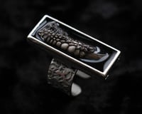 Image 3 of Dead Good Pheasant toe taxidermy ring