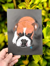 Image 2 of Custom Soft Pastel Boxer Portrait