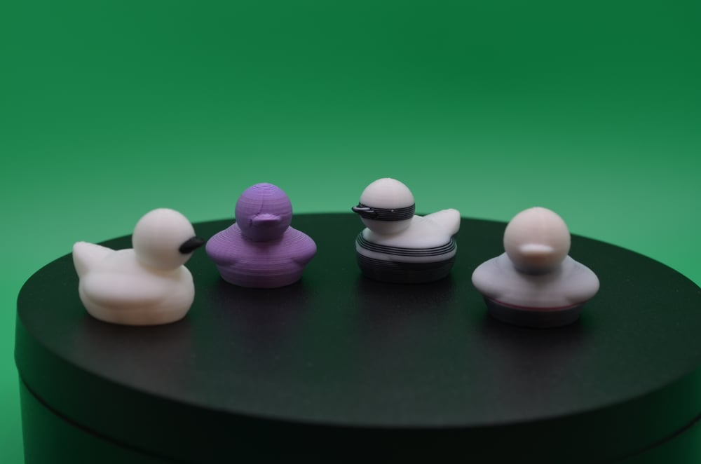 Image of Multicolor Quackmate