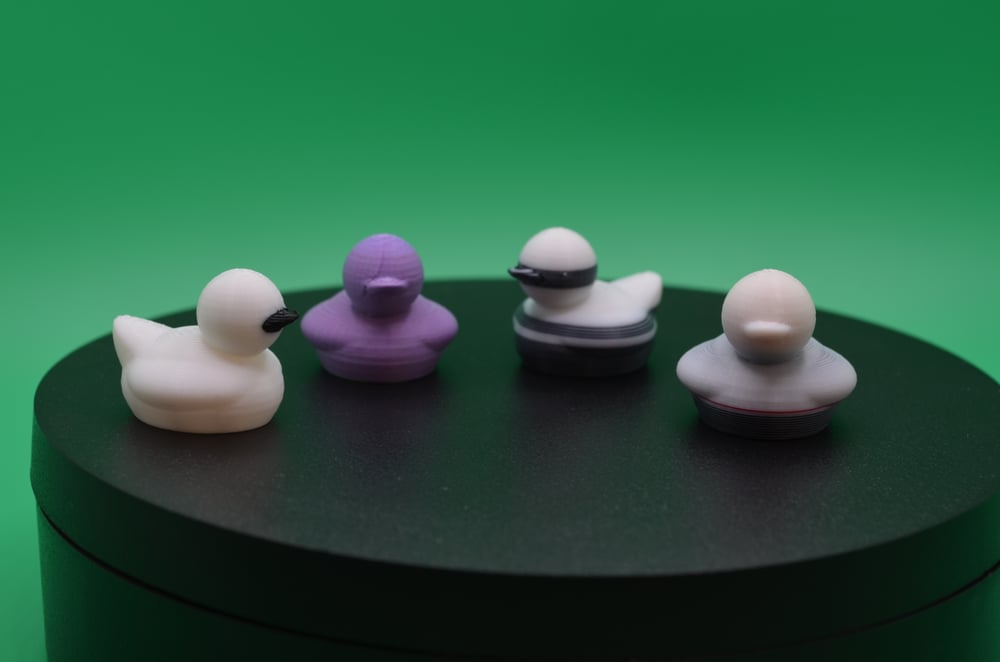 Image of Multicolor Quackmate