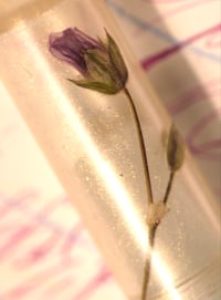 Image 8 of Custom Pens + Flowers Preservation