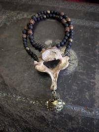 Image 1 of C7 bone necklace