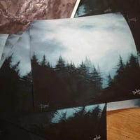 Image 3 of ART PRINT - "Darkforest"