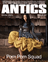 ANTICS Issue 2