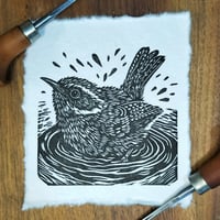 Wren Mini Print