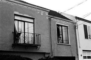 Image of Urban Guerrilla Zine #28