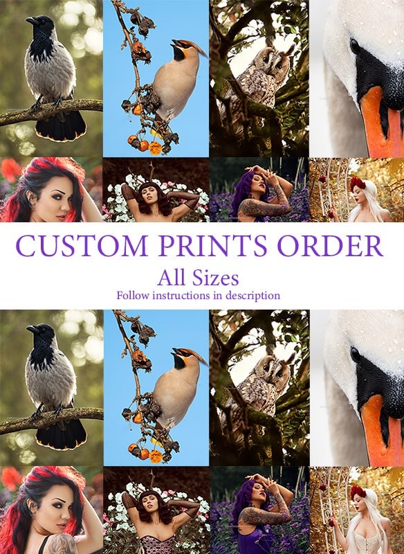 Image of Custom order - All sizes