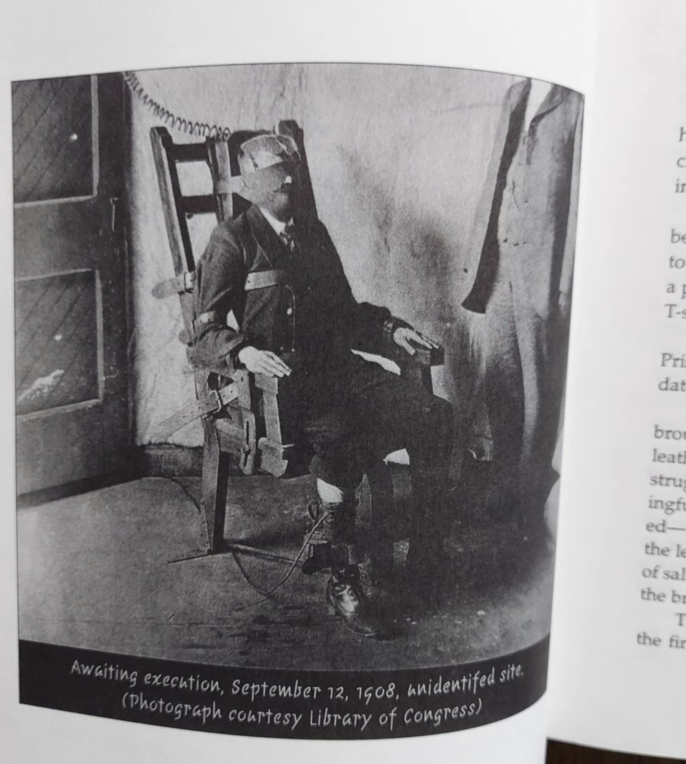 Blood and Volts: Edison, Tesla, & the Electric Chair, by Th. Metzger