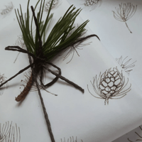 Image 2 of Wrapping Paper