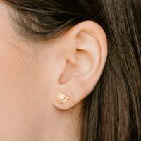 Image 1 of Etherea Gloriosa