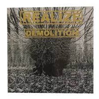 Realize - Demolition 12"