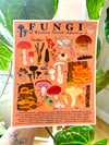 Fungi of Western North America Print 