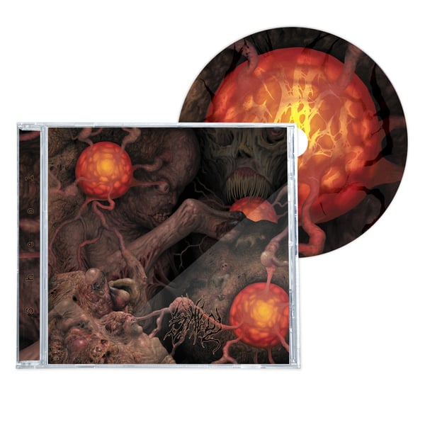 Image of SHEOL "4-WAY SPLIT" CD