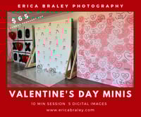 Valentine's Day Minis 