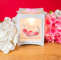 Scentsationals Wax Melt Warmer