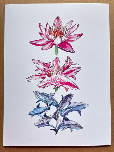 Image of Shark Lotus -laserprint