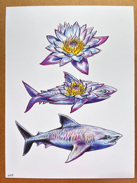 Image of Lotus Shark - laserprint 