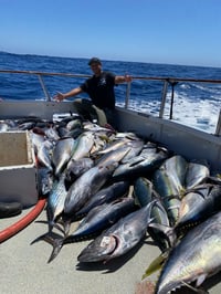 Image 4 of Pride 1.5 Day Charter September 12th