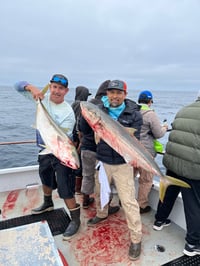 Image 5 of Pride 1.5 Day Charter September 12th