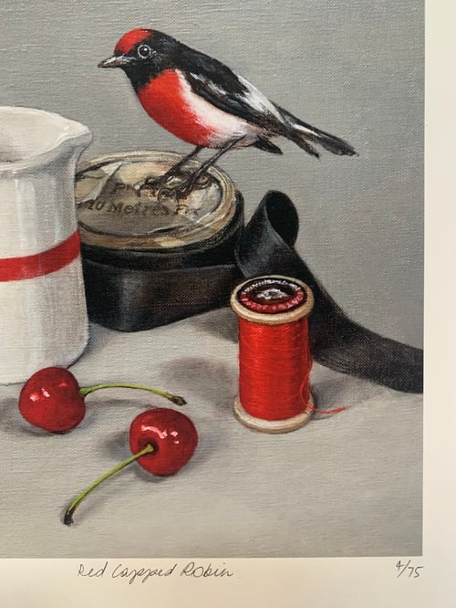 Image of Red-Capped Robin Print