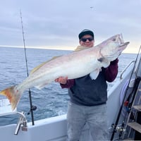 Image 2 of Ghost Sportfishing Overnight Charter July 25th