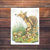 Image 1 of "The Curious Fox" | Fine Art Print